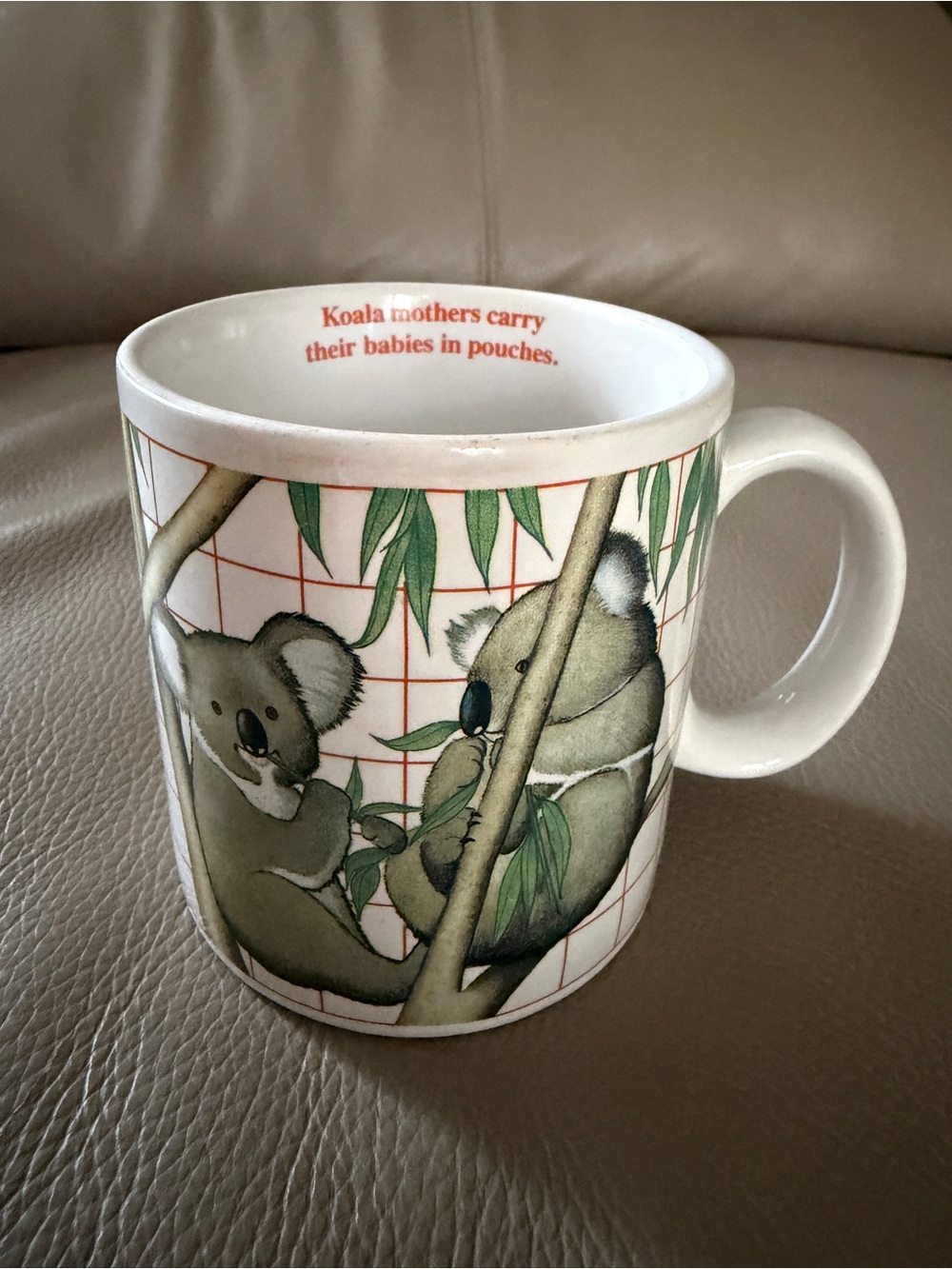WWF vtg Applause Determined Productions 31409 Ceramic Koala Bear Mug White/Green